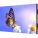 NEC UN552V-TMX9P Digital Signage Display