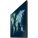 Samsung ED75E Digital Signage Display