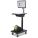 Newcastle Systems AP104NU-S Mobile Cart