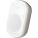Speco SPCE6OTW Security Camera