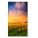 NEC X554UN-TMX9P Digital Signage Display