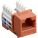 Black Box CAT6J-OR-5PAK Products