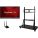 ViewSonic IFP5550-E2 Touchscreen