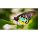 NEC UN552 Digital Signage Display