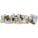 Zebra 10037156 Barcode Label
