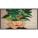 Philips 55BDL4511D/00 Digital Signage Display