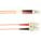 Black Box FOCMP62-008M-SCLC-OR Accessory