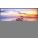 NEC E425 Digital Signage Display