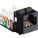 Black Box FMT631-R3-25PAK Accessory