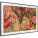 Samsung QN43LS03DAFXZA TVs & Home Theater Equipment
