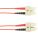 Black Box FOCMP62-002M-SCSC-RD Accessory