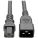 Tripp-Lite P032-007 Accessory