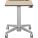 Ergotron 24-811-F13 Mobile Cart