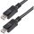 StarTech DISPLPORT15L10PK Accessory