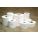 SATO 54SX01004-CASE Barcode Label