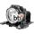 BTI DT00891-BTI Products