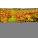 NEC X554UN-TMX9P Digital Signage Display