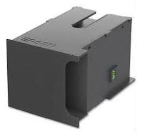 Epson 1589738 Accessory