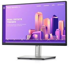 Dell DELL-P2222H Monitor