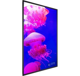 Planar 998-2166-00 Digital Signage Display