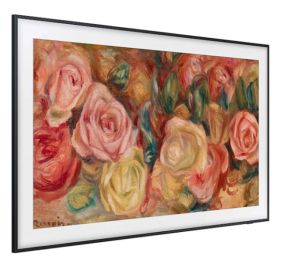 Samsung QN43LS03DAFXZA TVs & Home Theater Equipment