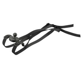 RAM Mount RAP-B-399U Products