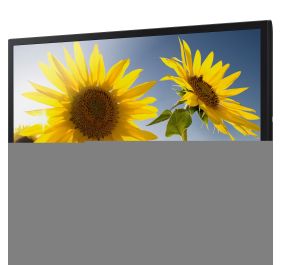 Samsung T24D310NH Digital Signage Display
