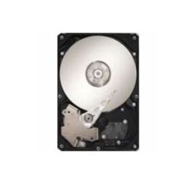 Seagate ST973402SS Drives