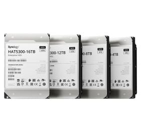 Synology HAT5300-4T Drive