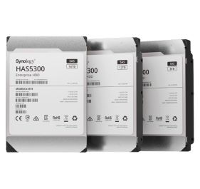 Synology HAS5300-12T Drives