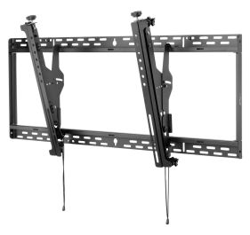 Peerless-AV DS-MBZ642L Products