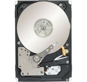 Seagate ST91000640SS Drives