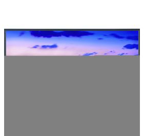 NEC V801-AVT Digital Signage Display