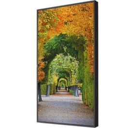 NEC X554HB Products
