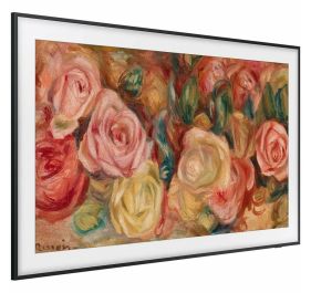 Samsung QN43LS03DAFXZA TVs & Home Theater Equipment