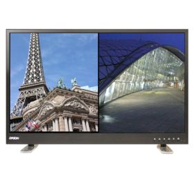 Orion 42REDP Monitor