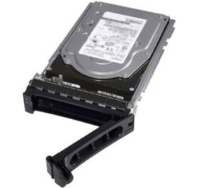 Dell 400-ATNG Drives