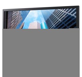 Samsung S22E450D Digital Signage Display