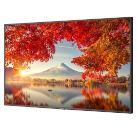 NEC MA551 Monitor