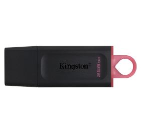 Kingston DTX/256GB Accessory