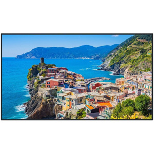 Panasonic TH-65EQ2W Monitor
