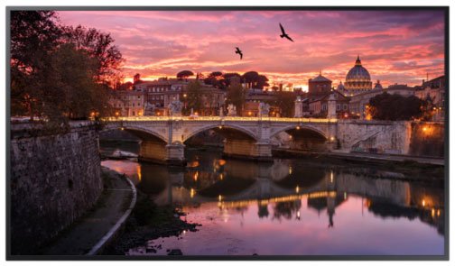 Samsung QB50R Monitor