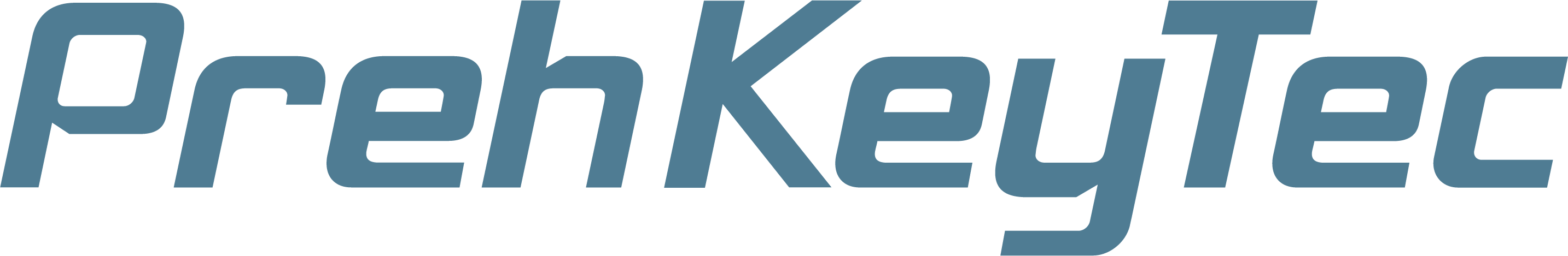 Preh KeyTec 13017-003/0001 Accessory