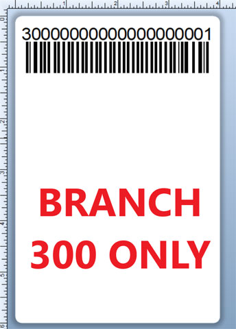 BCI DEXTER-4X6-LPN-300 Barcode Label