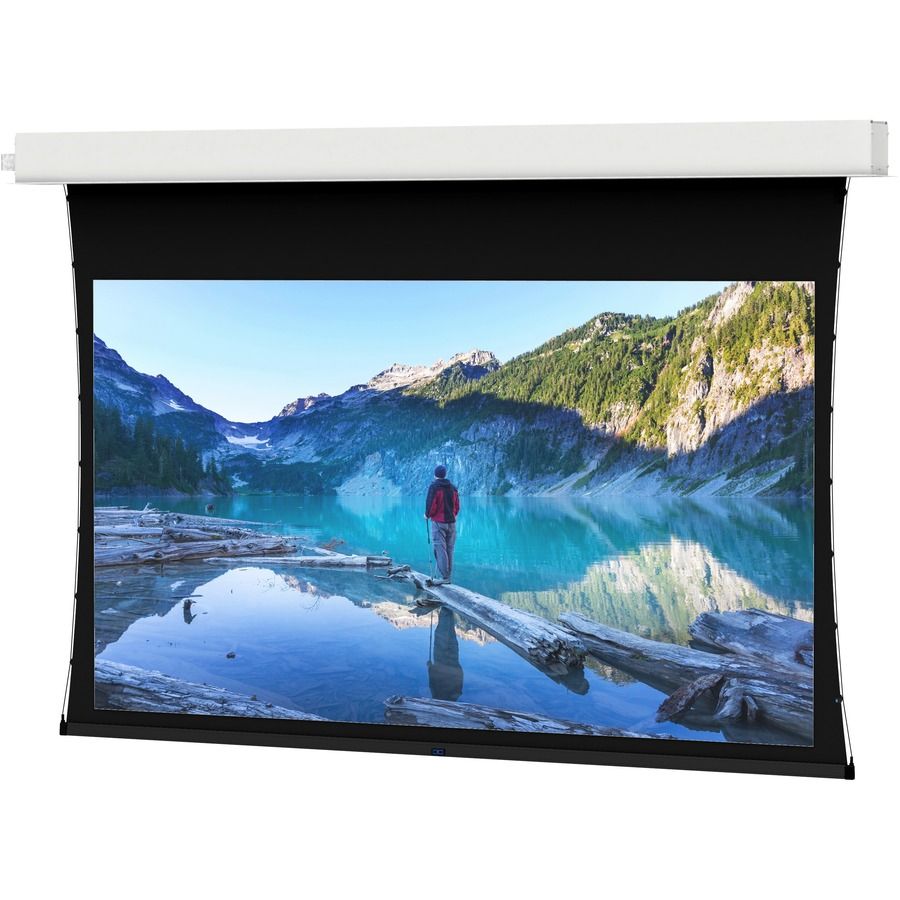 Da-Lite 21806LS Products