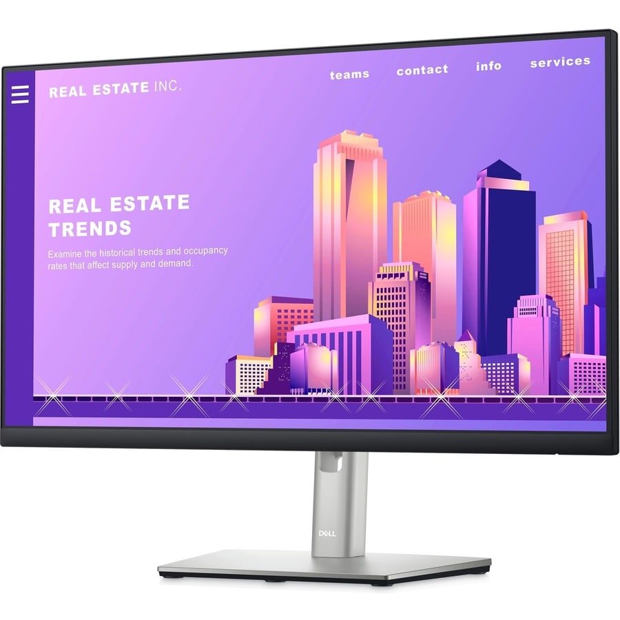Dell DELL-P2422H Monitor