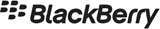BlackBerry HDW-23470-004 Accessory